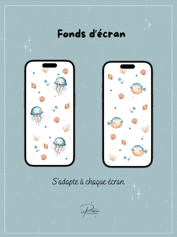 Lot fonds d’écran animaux marins mignons