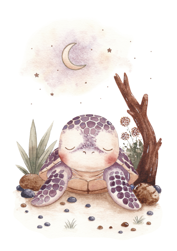 Tortue